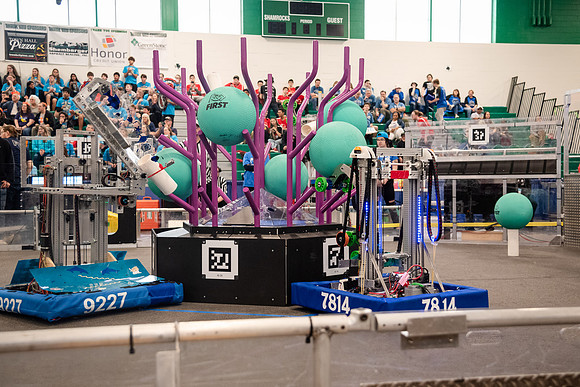 20250315-DSC_2335